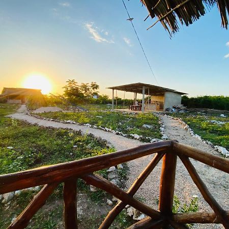 Habibis Bottle House Bed & Breakfast Nungwi Dış mekan fotoğraf