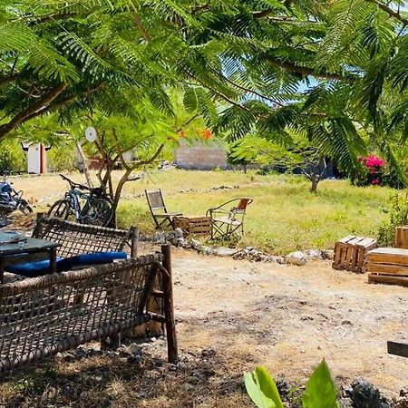 Habibis Bottle House Bed & Breakfast Nungwi Dış mekan fotoğraf