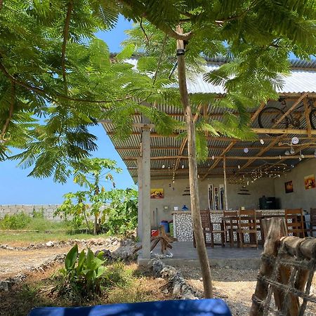 Habibis Bottle House Bed & Breakfast Nungwi Dış mekan fotoğraf