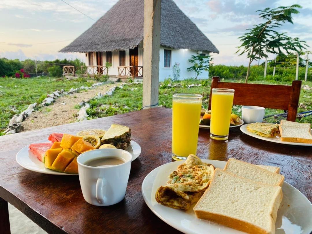 Habibis Bottle House Bed & Breakfast Nungwi Dış mekan fotoğraf