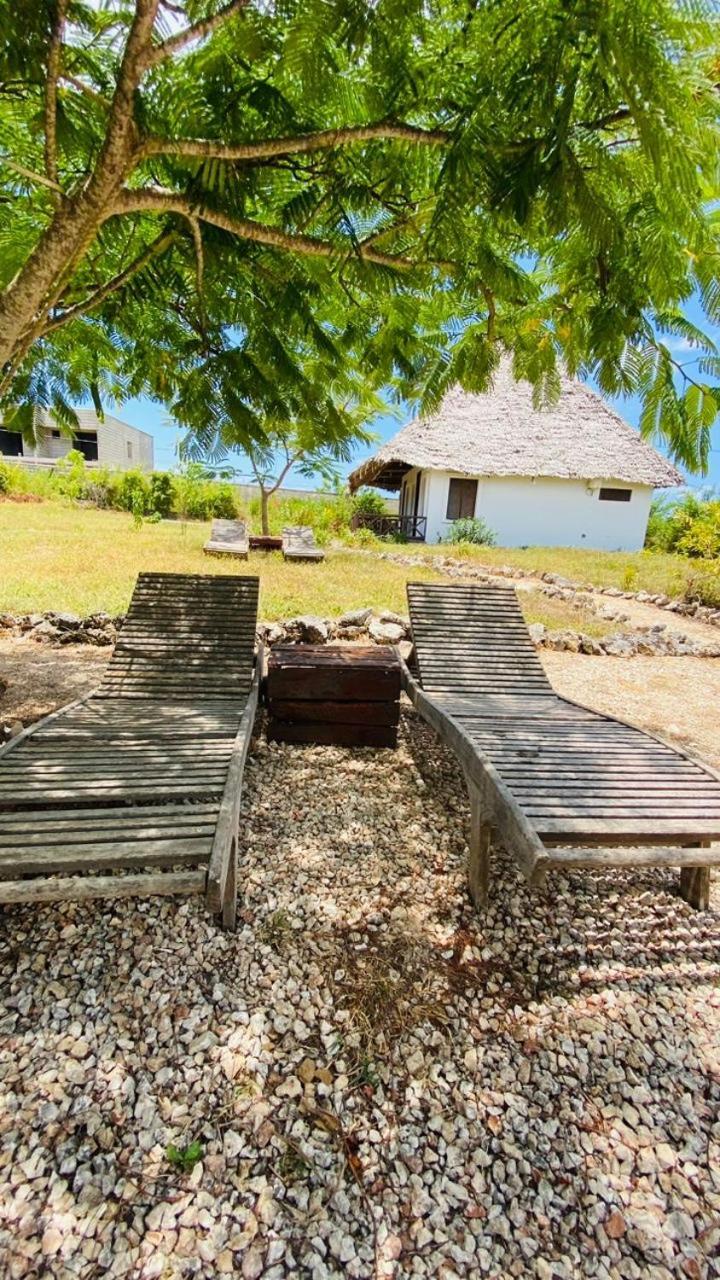 Habibis Bottle House Bed & Breakfast Nungwi Dış mekan fotoğraf