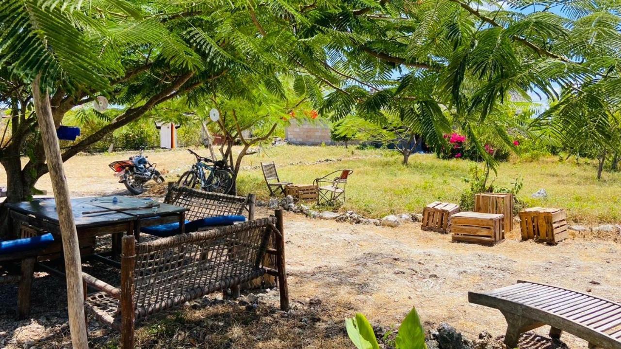 Habibis Bottle House Bed & Breakfast Nungwi Dış mekan fotoğraf