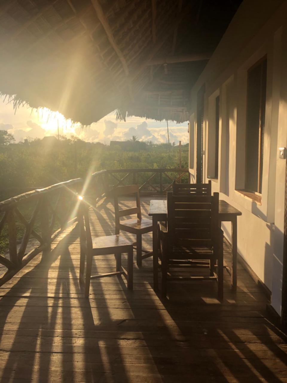 Habibis Bottle House Bed & Breakfast Nungwi Dış mekan fotoğraf